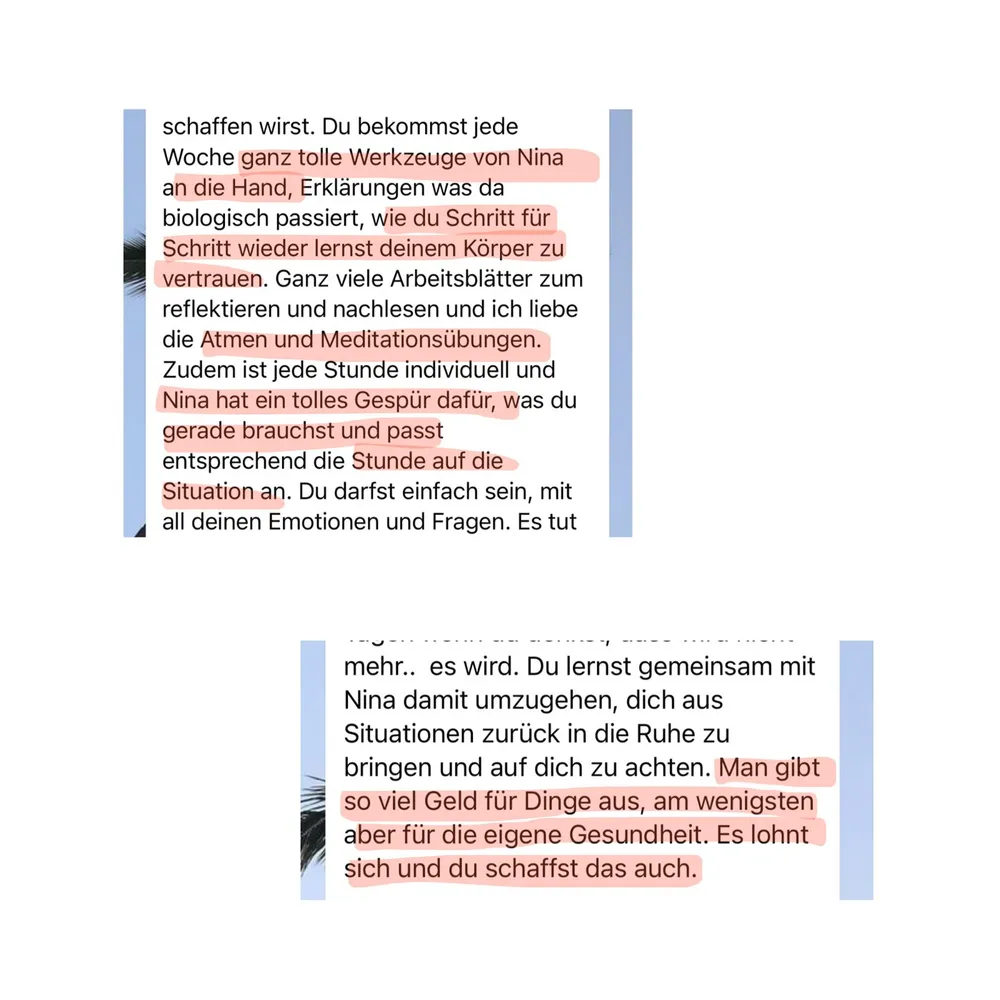 WhatsApp-Nachricht einer Kundin über den Ablauf: Jede Woche Werkzeuge von Nina, Erklärungen, was biologisch passiert, viele Arbeitsblätter sowie Atem- und Meditationsübungen – und jede Stunde individuell auf die Situation abgestimmt.
